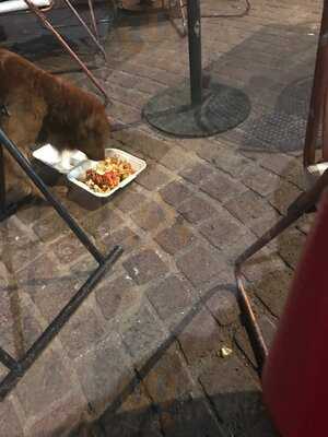 El Canastillo De Flores