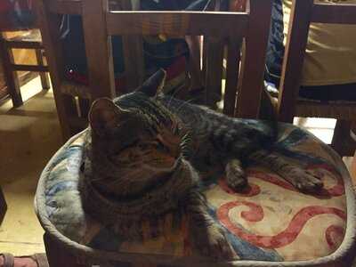 La Casa Del Camarón