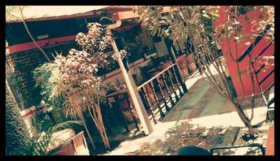 Del Pacifico Marisquería