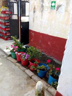 Photo 4