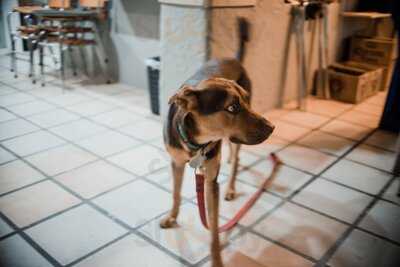 Road House Restaurant