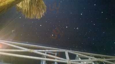 Bb Bikini Bar León Gto