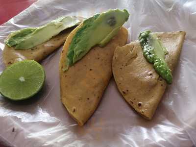 Duros Y Guacamayas Hernandez