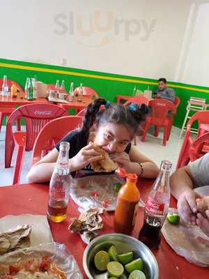 Duros Y Guacamayas Hernandez