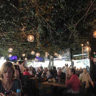 Sonora Grill Coyoacán