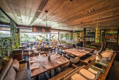 Sonora Prime Roma Condesa