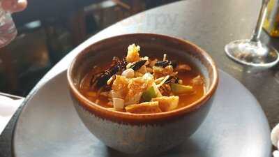 Sonora Prime Masaryk