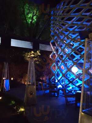 Tori Tori Temistocles