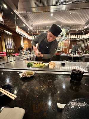 Teppan Grill