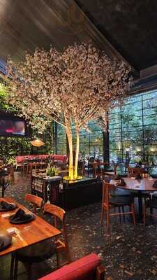 El Japonez  Polanco