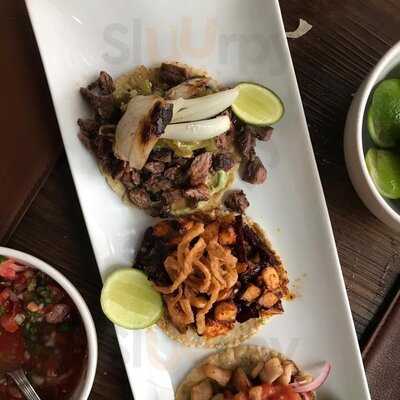 Palominos Insurgentes