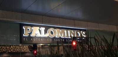 Palominos Insurgentes