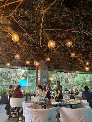 Sonora Grill Nápoles