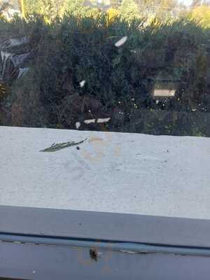 La Casa De Los Abuelos