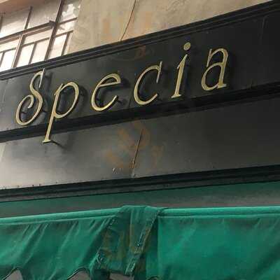 Specia