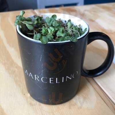 Marcelino Pan & Vino