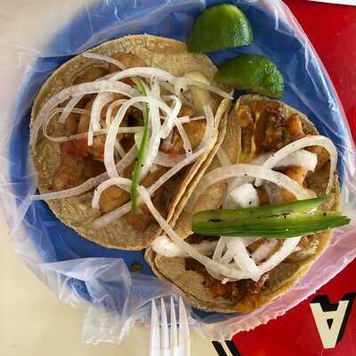 El Pescadito Zona Rosa