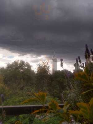 La Azotea De Barrio Alameda