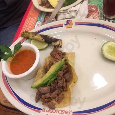 El Lago De Los Cisnes