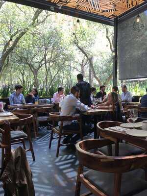 Nativo Polanco Taller Gastronómico