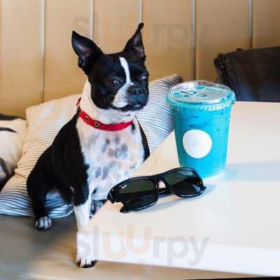 Saint Cocó Coffee Bar