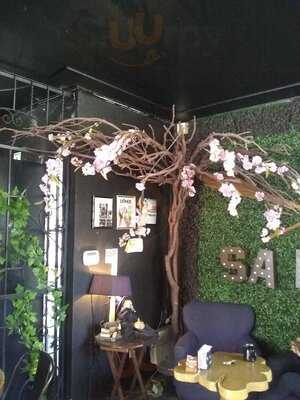 Salem Witch Store & Coffee