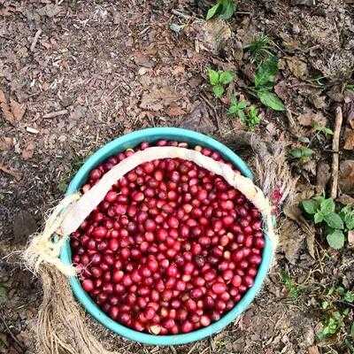 Drip Specialty Coffee