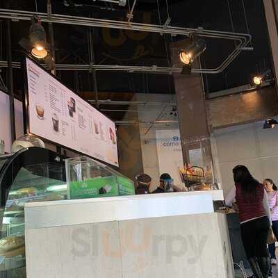 Cafe Punta Del Cielo De Alta Extracción