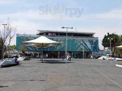 La Terraza Del Museo