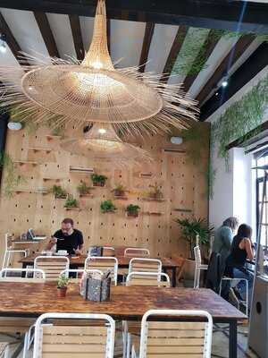 Flor De Viento Health Food Coyoacan