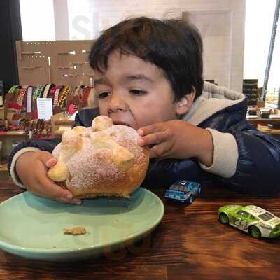 Flor De Viento Health Food Coyoacan