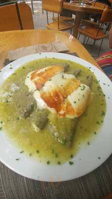 Orígenes Orgánicos