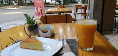 Orígenes Orgánicos