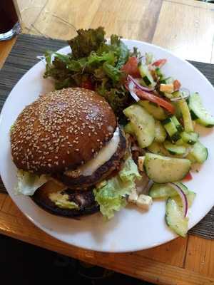 Orígenes Orgánicos