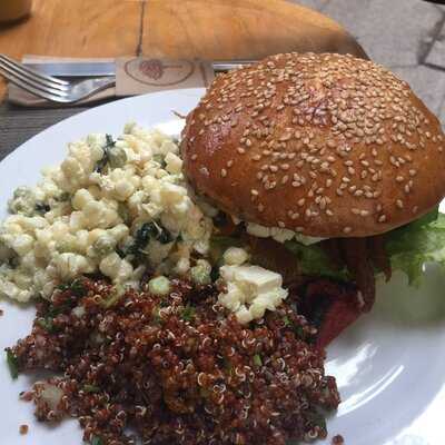 Orígenes Orgánicos