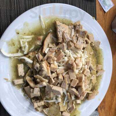 Orígenes Orgánicos