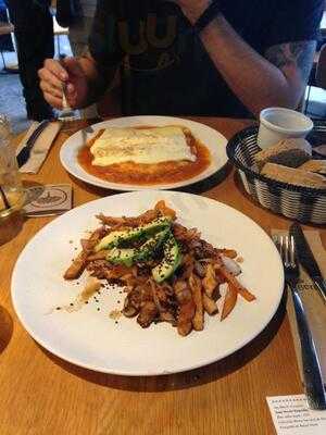 Orígenes Orgánicos