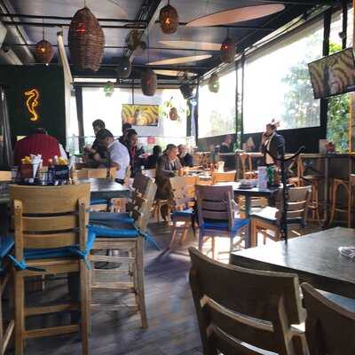 Costeñito Metropoli