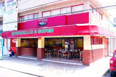 Las Quekas De Coyoacan