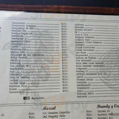 Gin Gin Álvaro Obregón