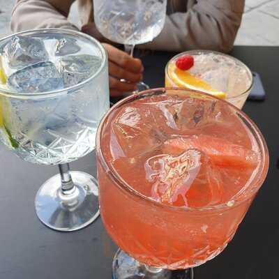 Gin Gin Álvaro Obregón