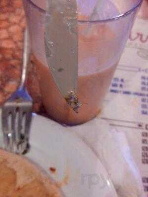 El Carnal Comida Mexicana