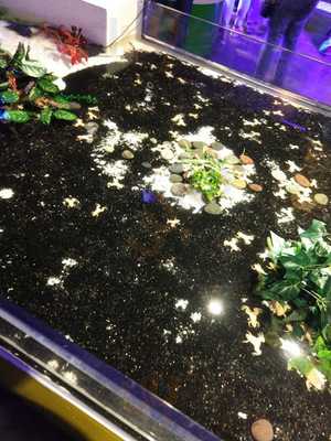 Acqua Terra Plaza Carso