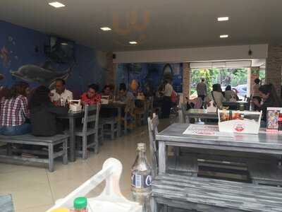 La Palapa Del Pacífico Y El Paisa