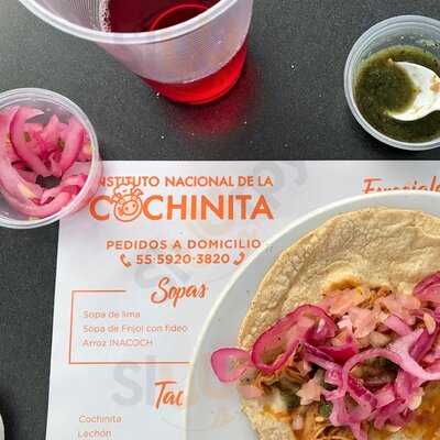 Instituto Nacional De La Cochinita