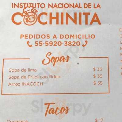 Instituto Nacional De La Cochinita