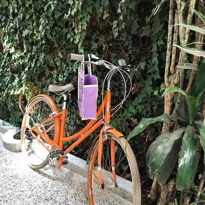 Instituto Nacional De La Cochinita