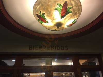 Potzollcalli Cuauhtémoc Roma