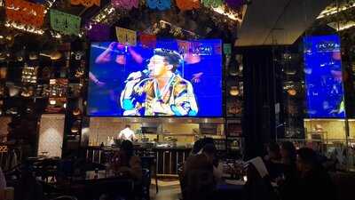 Cantina 20 | Pedregal