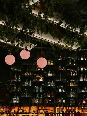 Cantina 20 | Pedregal